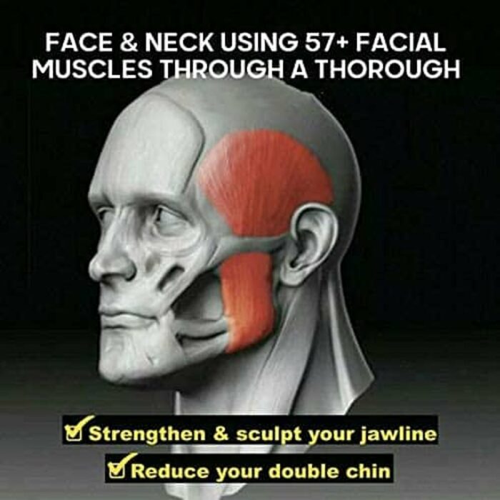 Killer Deals Facial Fitness Exercise Toner Ball Anti-Wrinkle (2 pieces) - Image 4