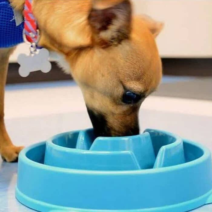 Killer Deals Healthier Pet Nutrition Fun Interactive Slow Feeder Dog Bowl - Image 8