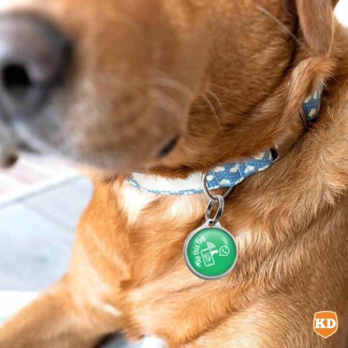 Killer Deals NFC Lost Pet Tag- Tap to WhatsApp - Image 2