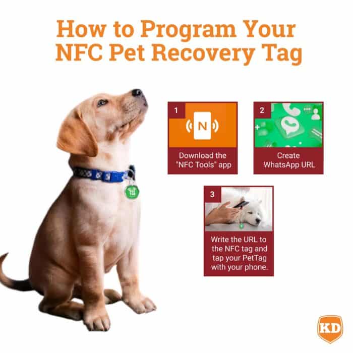 Killer Deals NFC Lost Pet Tag- Tap to WhatsApp - Image 8