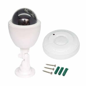 70301-700×700-1 Killer Deals Homesmart Dummy Dome Camera + Pir Sensor - Combo