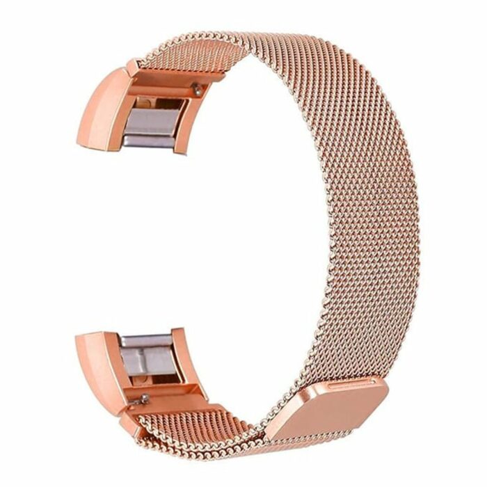 Killer Deals Magnetic Loop Meshy Milanese Strap for Fitbit Charge 2 - Image 12